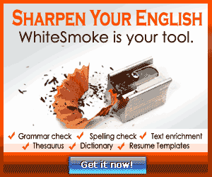 Professional Writing Aid